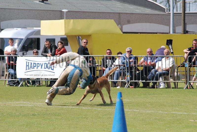 3 EME SELECTIF 2009 GRANDE SYNTHE 619.jpg